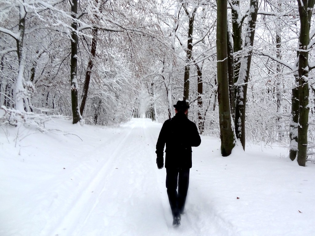 A person in a long dark coat and hat walking away down a snow-covered track
